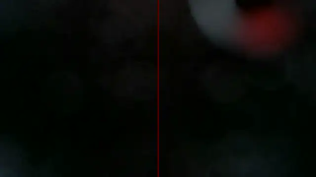0815lukas2024 webcam