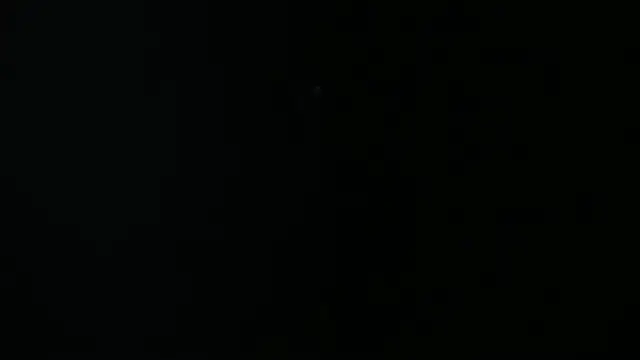 _Cherry_fox webcam