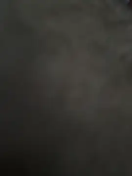 ildoge webcam