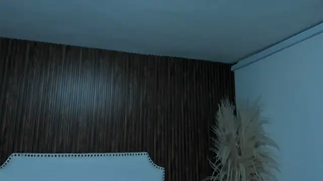 _Cherry_fox webcam