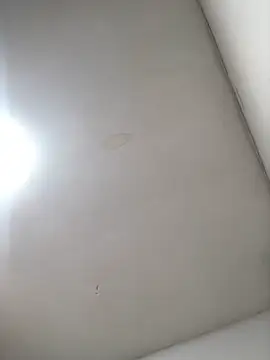 Elsecretodebrunosoy webcam