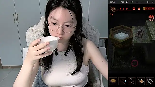 Erya-369 webcam