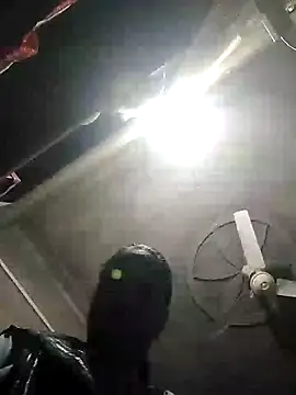 Loomaraj webcam