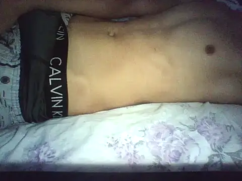 novilho18piroc webcam