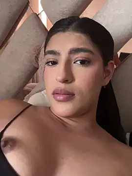 Misty-kat