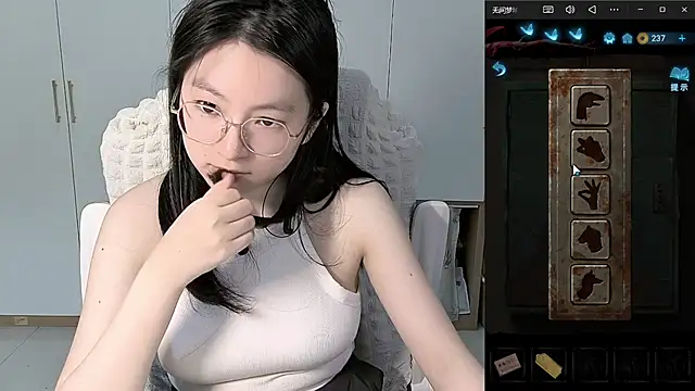 Erya-369 webcam
