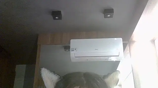 SkinnyKitten webcam