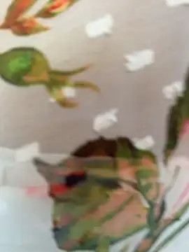 escape_with_me live cam