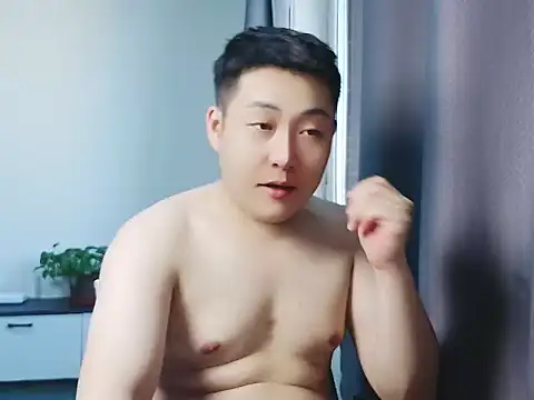 Llpl322 webcam