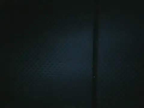 projectdivad webcam