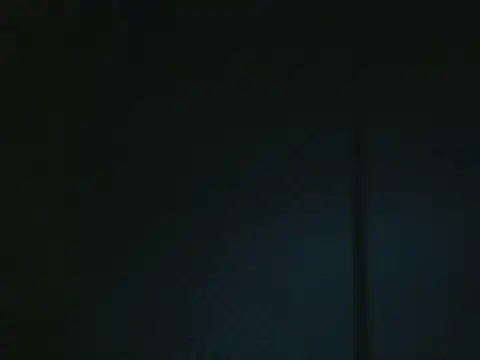 projectdivad webcam