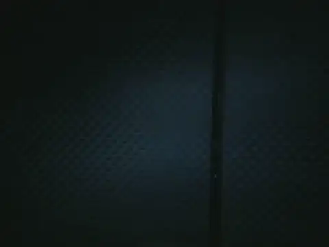 projectdivad webcam
