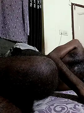 Chocolate_stud10 webcam