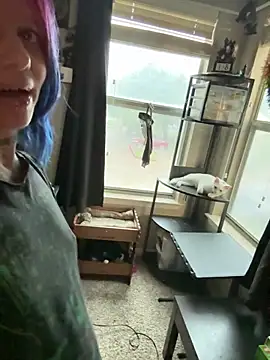 Toxii- webcam