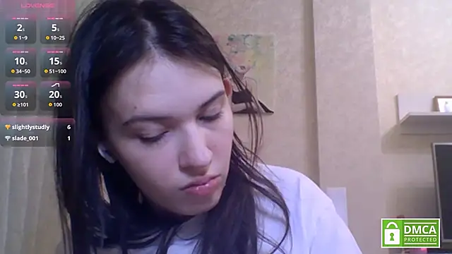 CeyaLier webcam