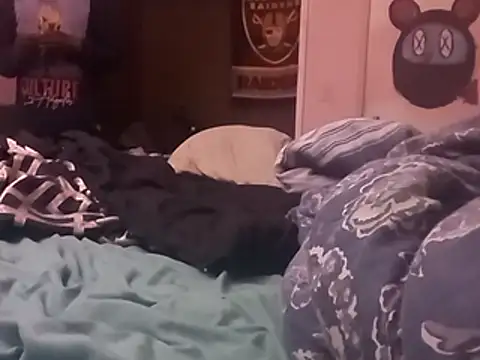 Blkstylion webcam