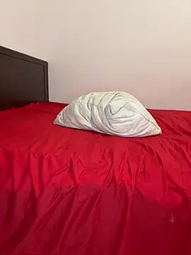 SLRuwi99 webcam