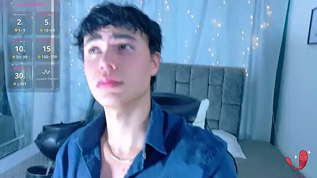 Dantekent webcam