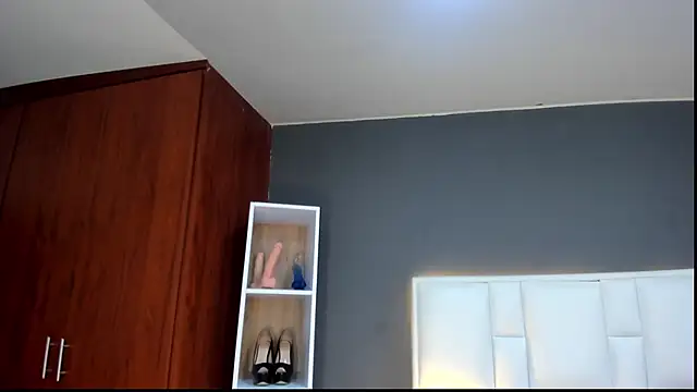 yeral2017 webcam