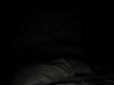 Dollseye webcam