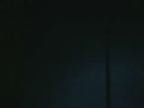 projectdivad webcam