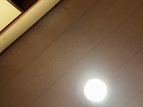 SaneService9 webcam