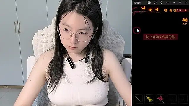 Erya-369 webcam