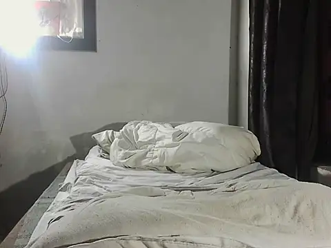 Dollseye webcam