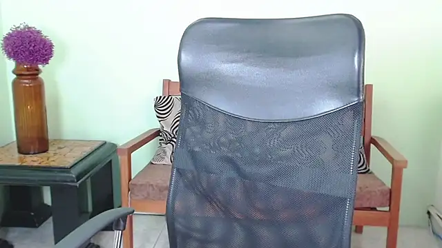 ChalonVera webcam