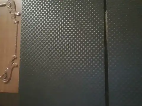 projectdivad webcam