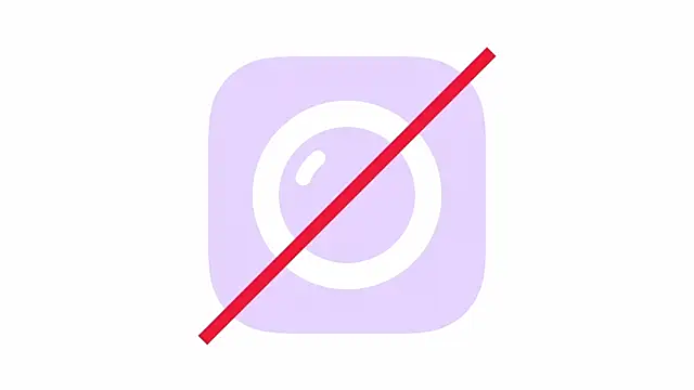 lilianbee webcam