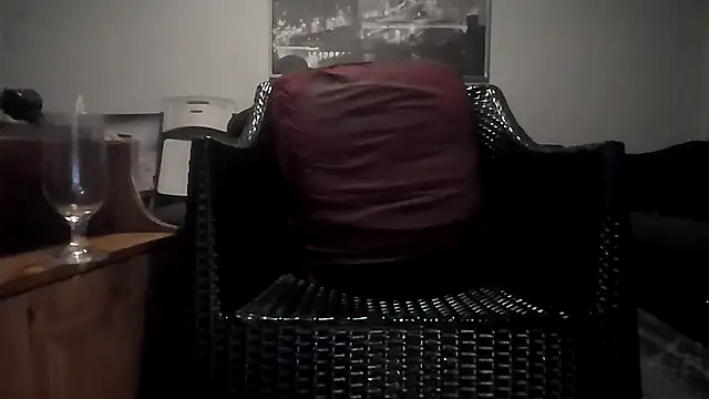 Tyyson03 webcam