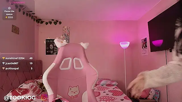 TOOKIOG_ webcam