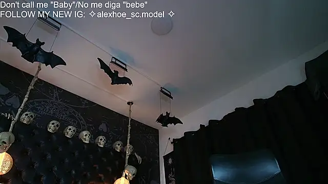 AlexHoe_ webcam