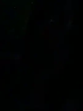 Baby_Panther