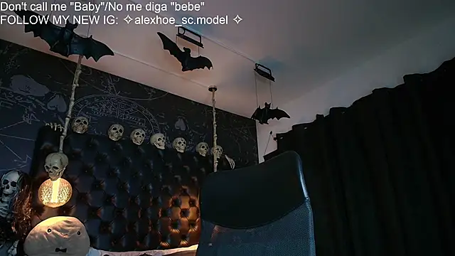 AlexHoe_ webcam