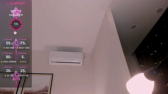 diana_nier webcam