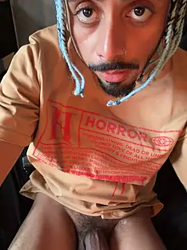 shadespider webcam