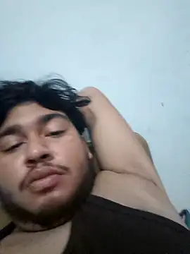 Vishesh43 webcam