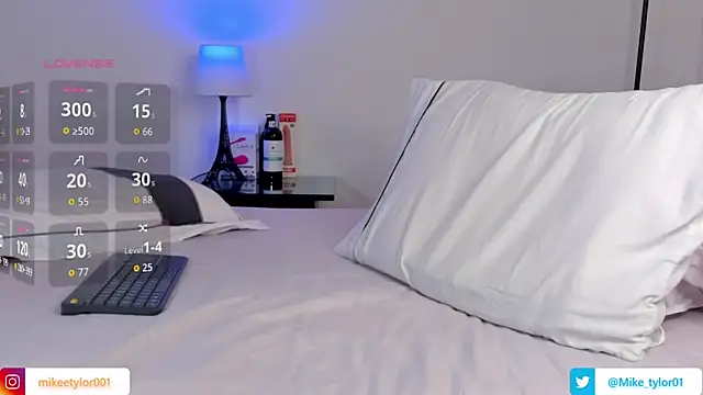 mike_tylor01 webcam