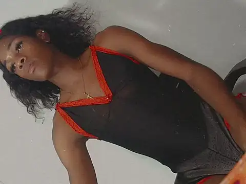 noeh_lasston webcam
