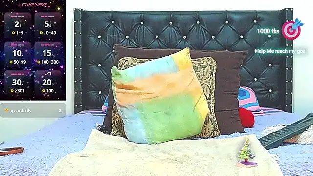 AnySugar webcam