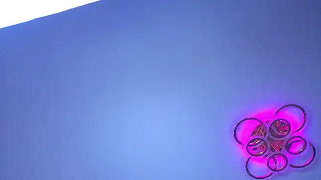 PerryKitty webcam