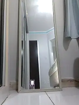 Silvakkfitk webcam