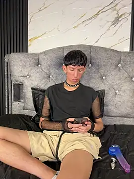 Noah-fire webcam