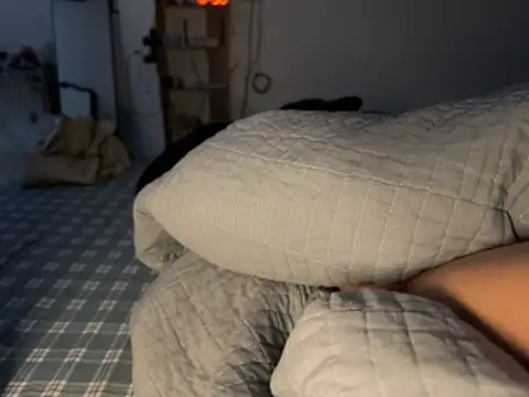 TopFF_17cm webcam
