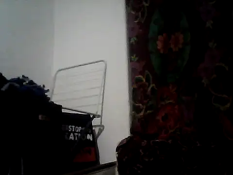 hancurleces webcam