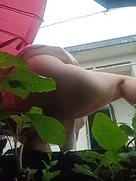 July-Asian webcam