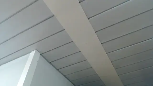 fulloferotic webcam