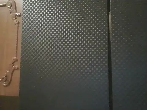 projectdivad webcam